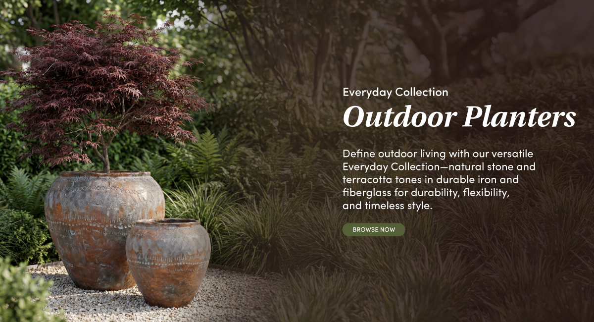 Collection Banner Desktop