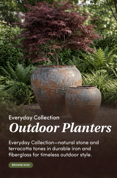 Collection Banner Mobile