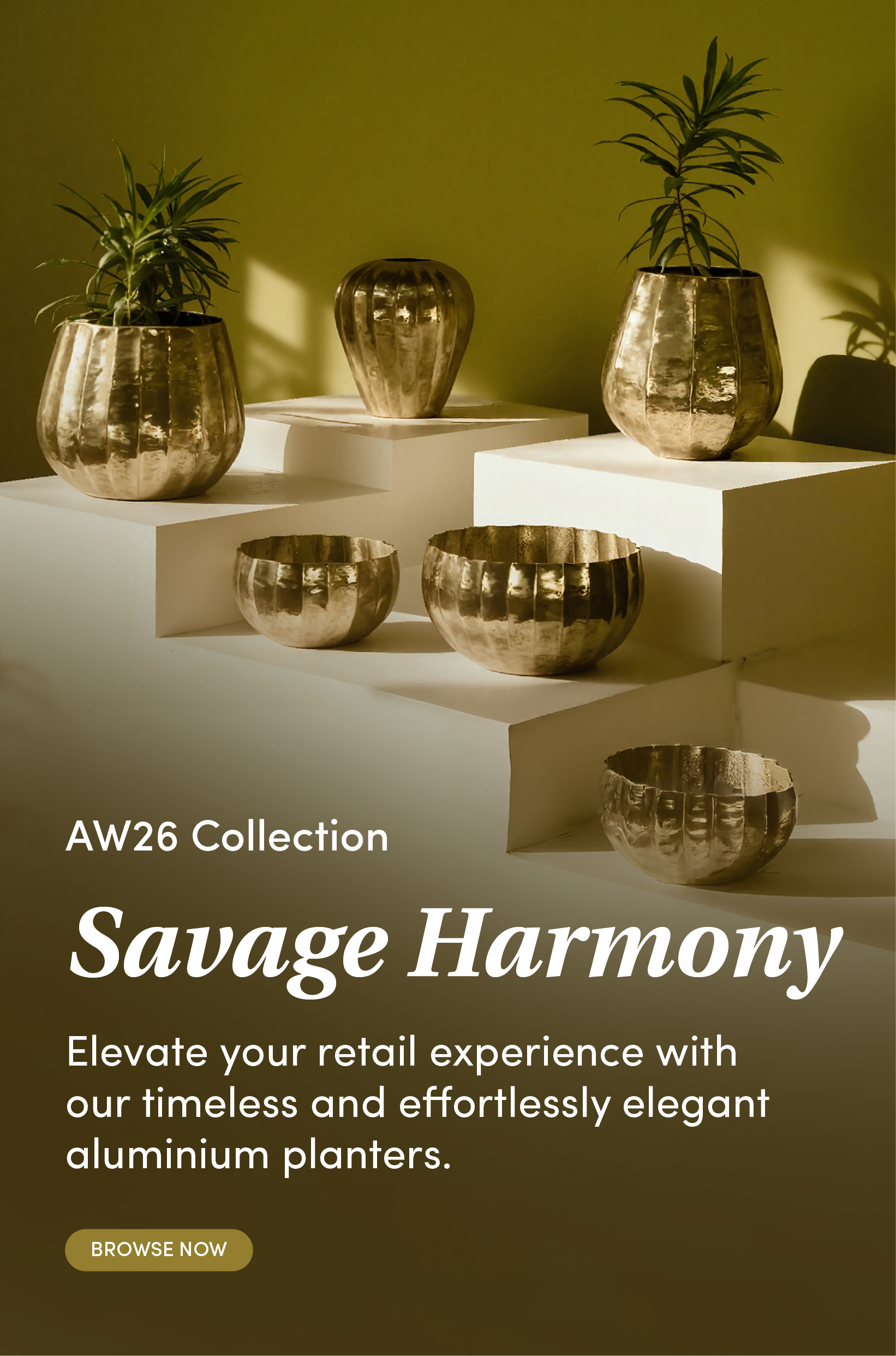 Collection Banner Mobile